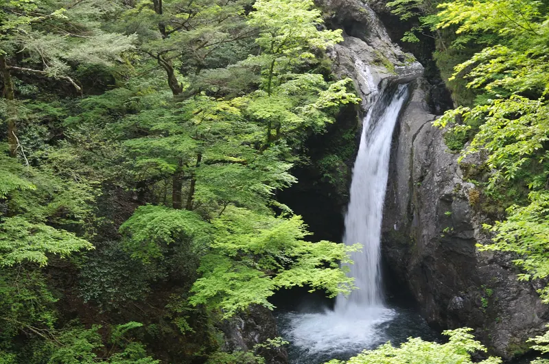 Ogama Falls