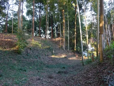 Tabeta Castle