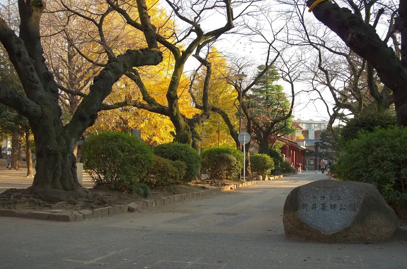 Arai Yakushi Park