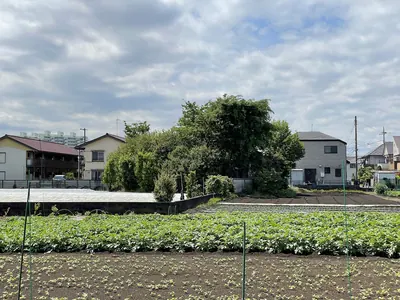 Komae Kofun Cluster