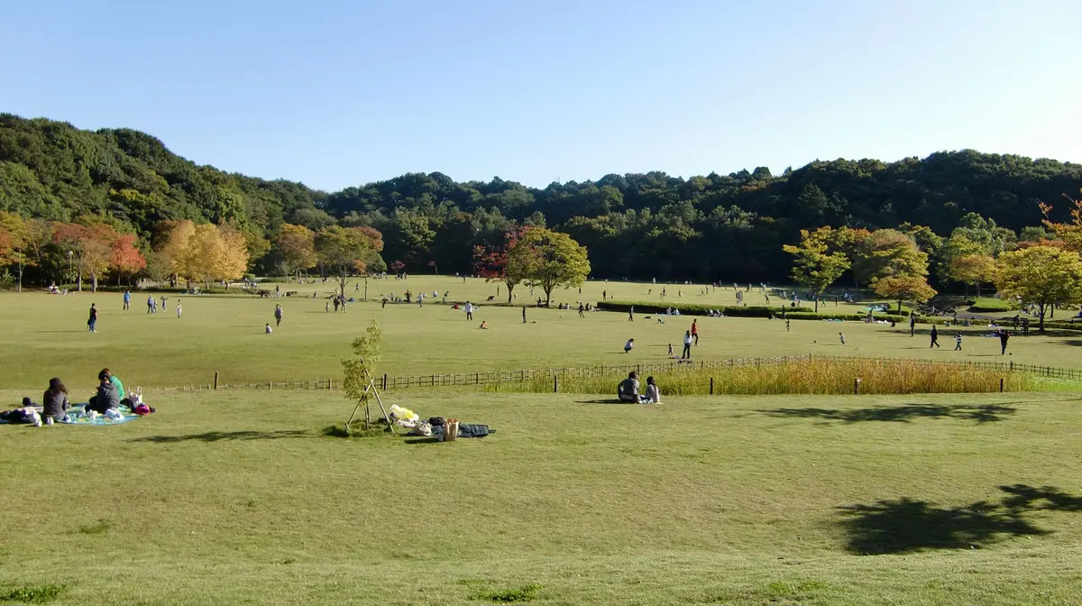 Forest and Park for the 21st Century