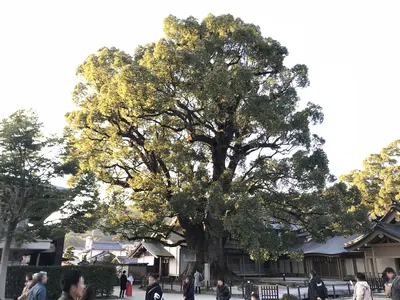 Dazaifu Tenman-gū no Ōkusu