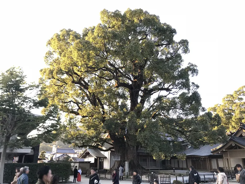 Dazaifu Tenman-gū no Ōkusu