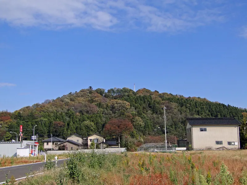 Tenjin'yama Castle