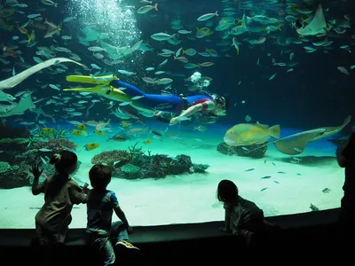 Sunshine Aquarium