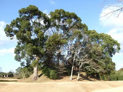 Eta Funayama Kofun