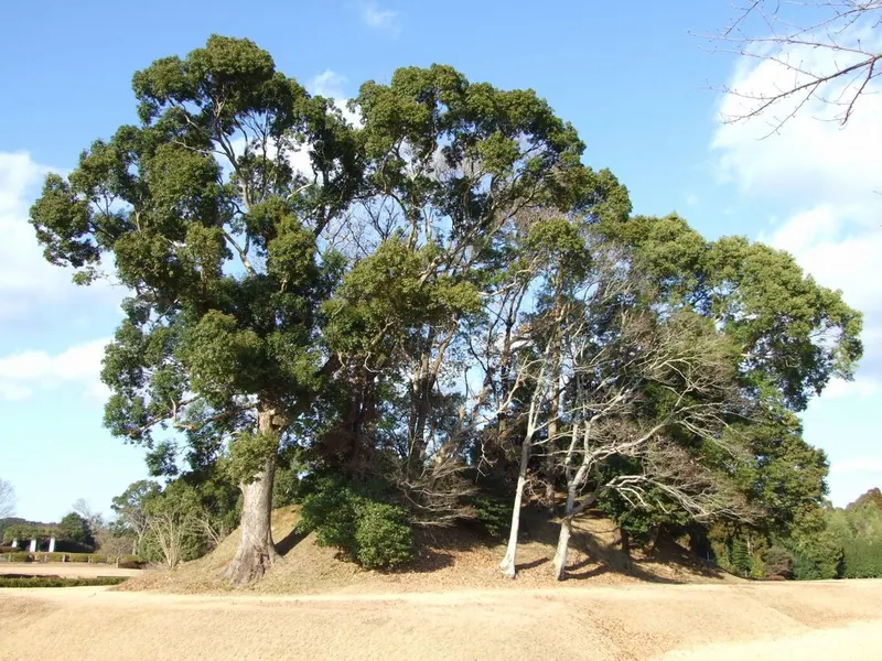 Eta Funayama Kofun