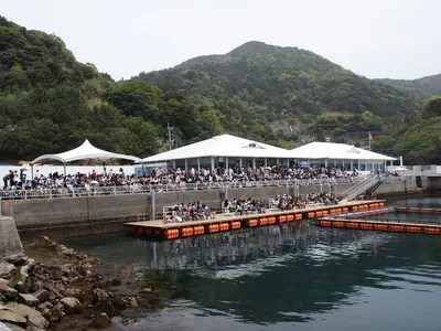 Umitama Taiken Park Tsukumi Dolphin Island