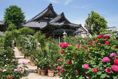 Ofusa Kannon Temple