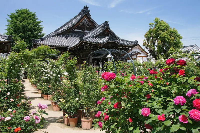 Ofusa Kannon Temple