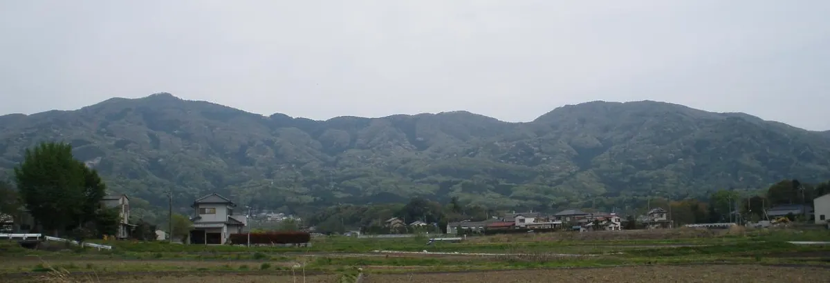 Mount Kinoko