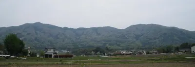 Mount Kinoko