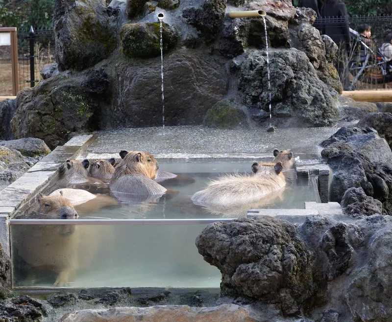 Saitama Children's Zoo