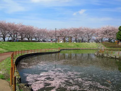 Shirasagi Park