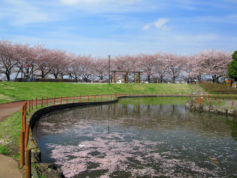 Shirasagi Park