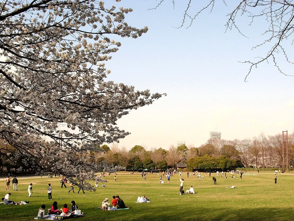 Jōhoku Chūō Park