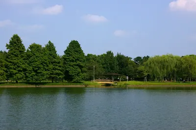 Misato Park