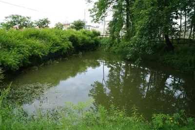 Lake Chomato
