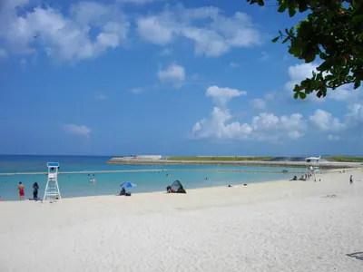 Tropical Beach