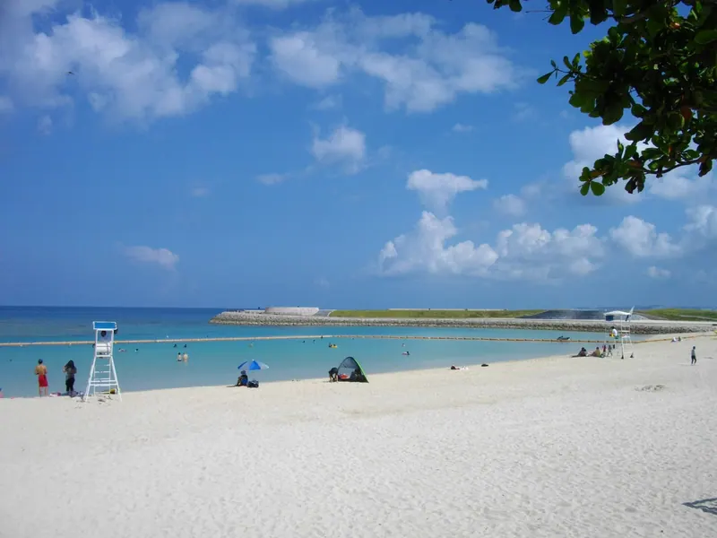 Tropical Beach
