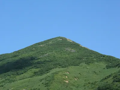Nisekoan Nupuri