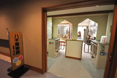 Bee Museum