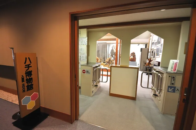Bee Museum
