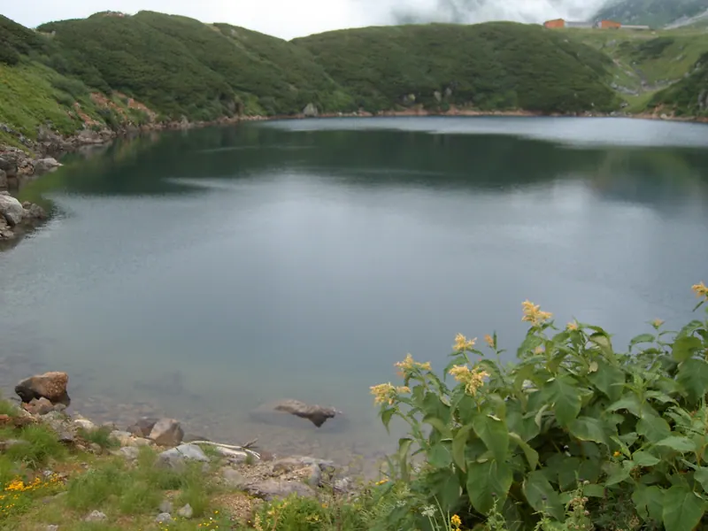 Mikurigaike