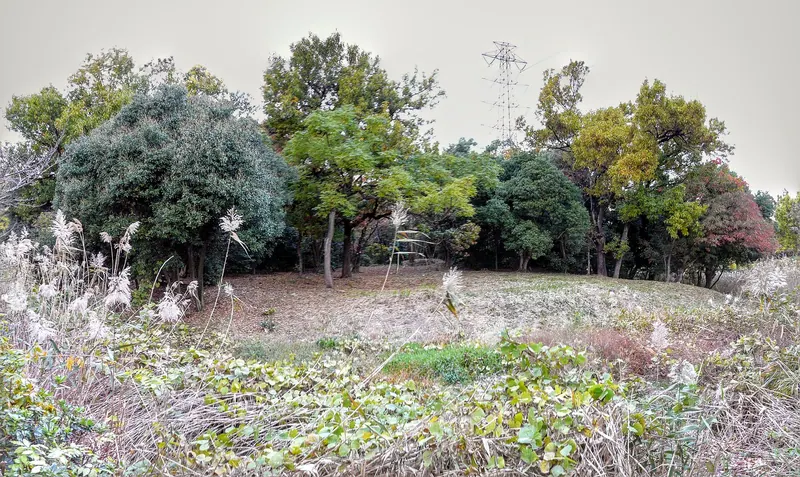 Guwashōbō Kofun