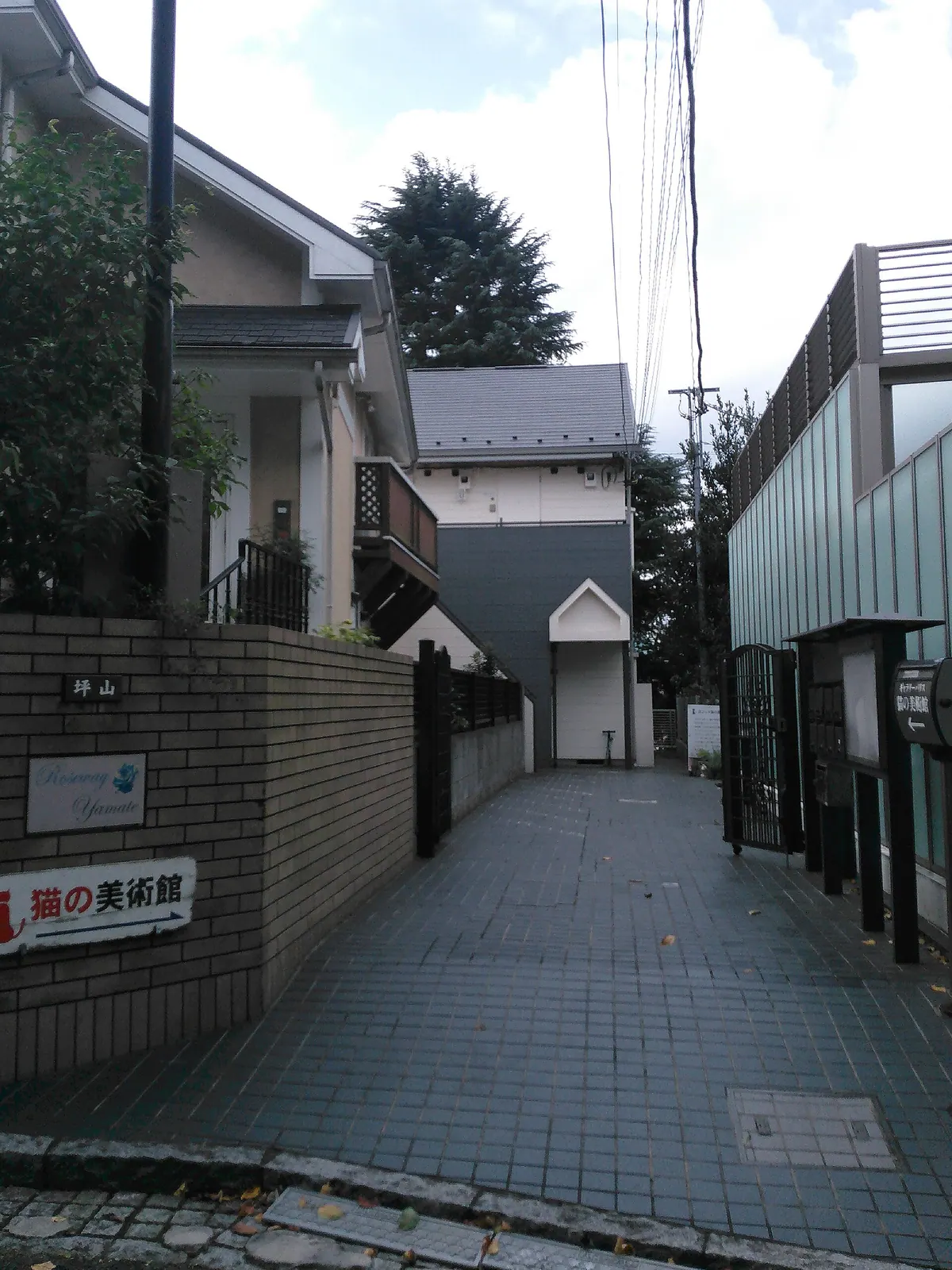 Yokohama Cat Museum