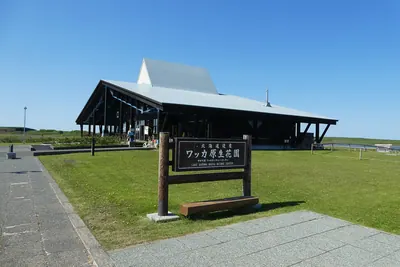 Wakka Wild Flower Park