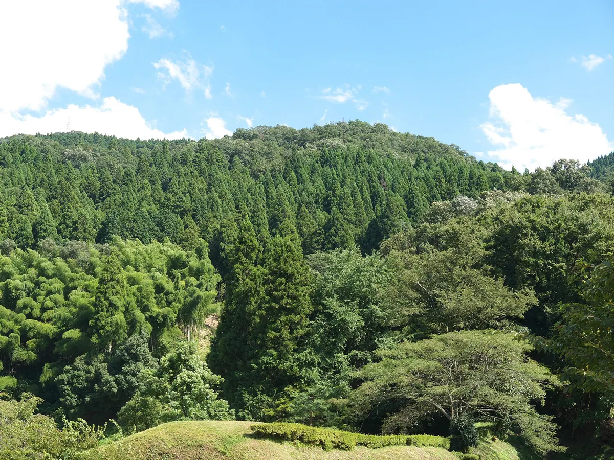 Mount Ichijōshiroyama