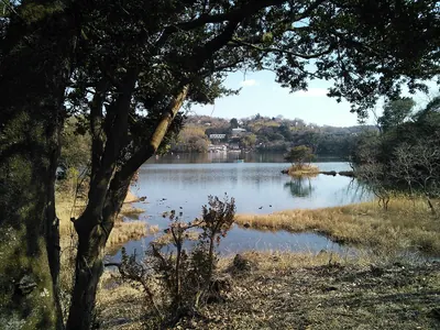 Lake Ippeki