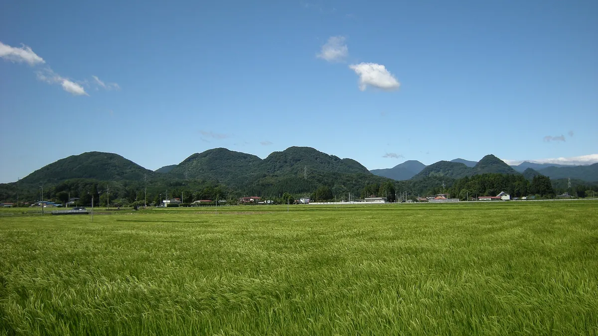 Nanatsumori