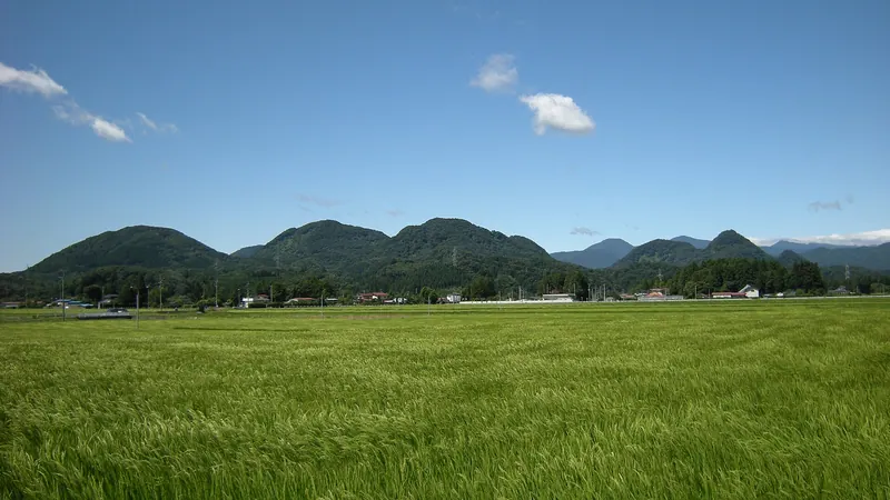 Nanatsumori