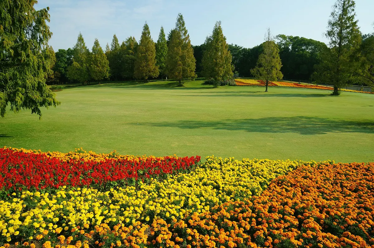Natural and Cultural Gardens