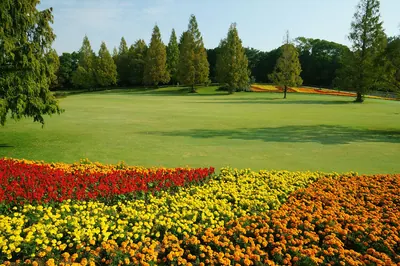 Natural and Cultural Gardens