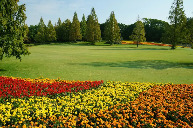Natural and Cultural Gardens