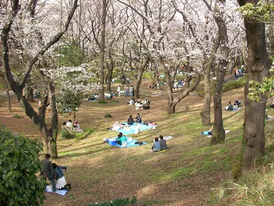 Mitsuzawa Park