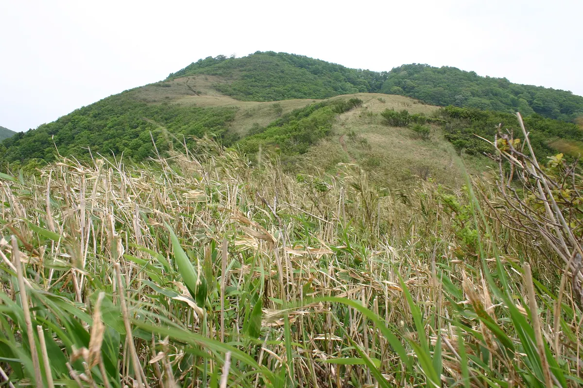 Mount Sanjūsangen