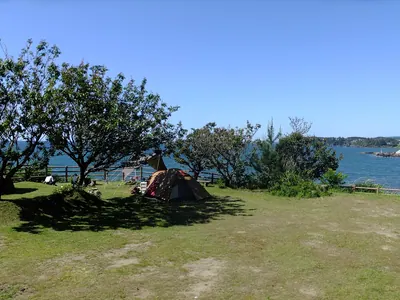 Misaki Park