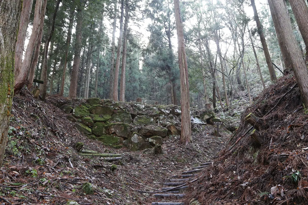 Mizawa Castle