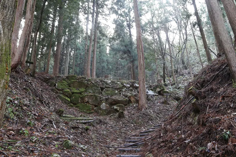 Mizawa Castle