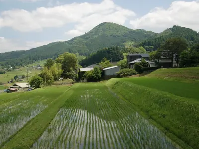 Mount Mikusa
