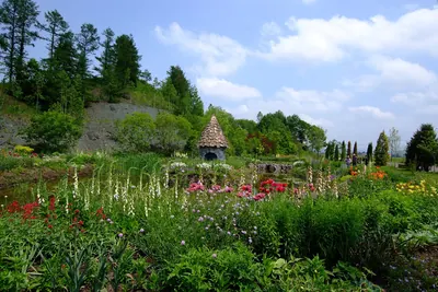 Ueno Farm