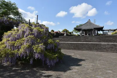 Shimono-bō Temple
