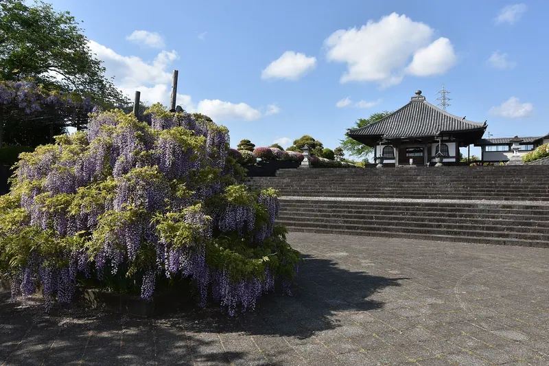 Shimono-bō Temple