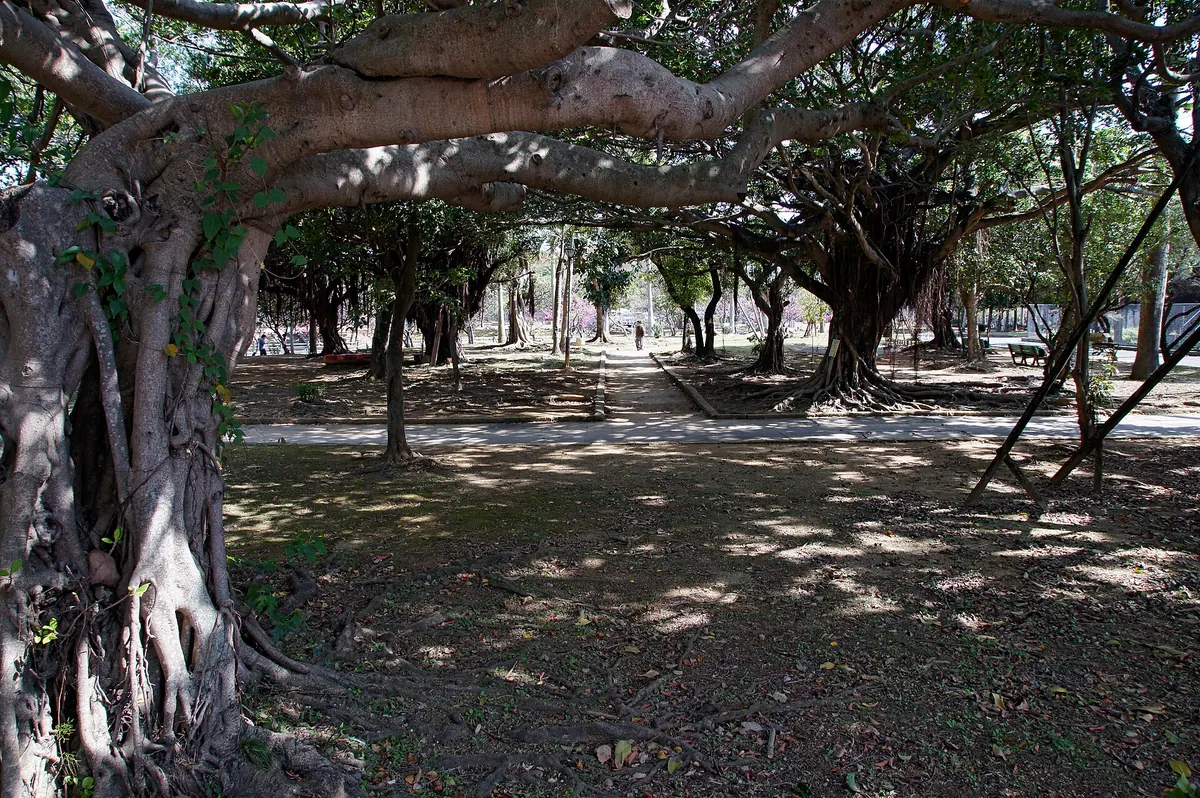 Yogi Park