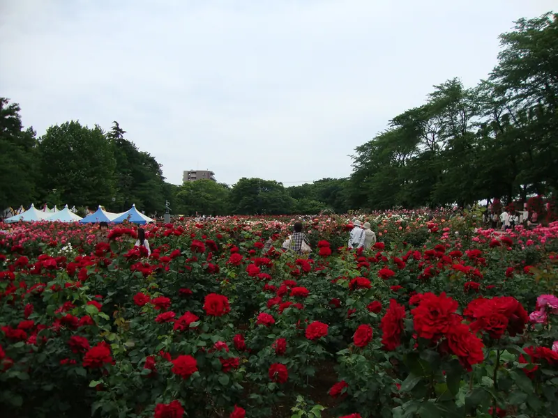 Yono Park