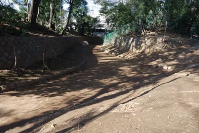 Setagaya Castle